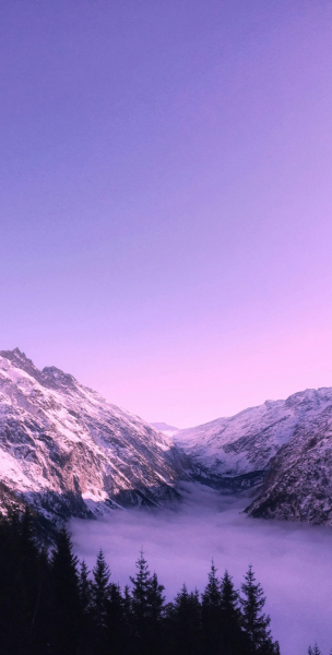home-img